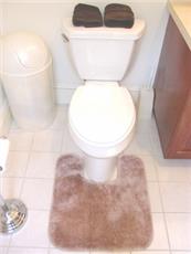 DECORATIVE PLUSH BATHROOM RUGS--CONTOUR RUG