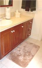 DECORATIVE PLUSH BATHROOM RUGS--24"x40" RUG