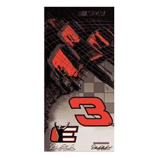 nascar-beach-towels