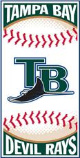 Tampa Bay  Rays Centerfield Beach Towel | By DomesticBin