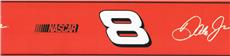 NASCAR #8 Dale Earnhardt Jr. Multi Wallborder | By DomesticBin